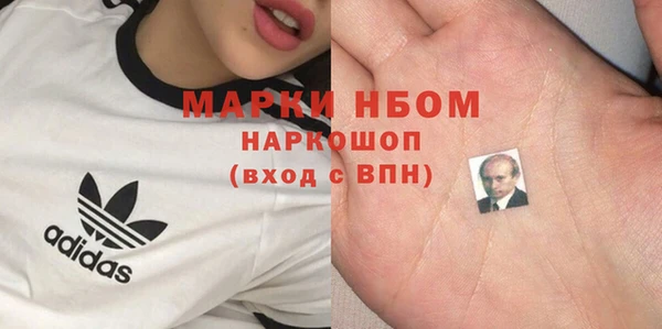 гашик Балахна